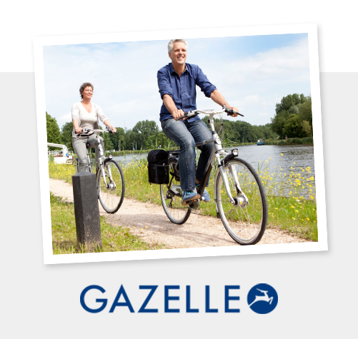 Gazelle1-2